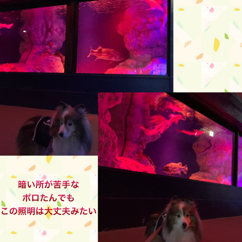 IMG_3395.jpeg