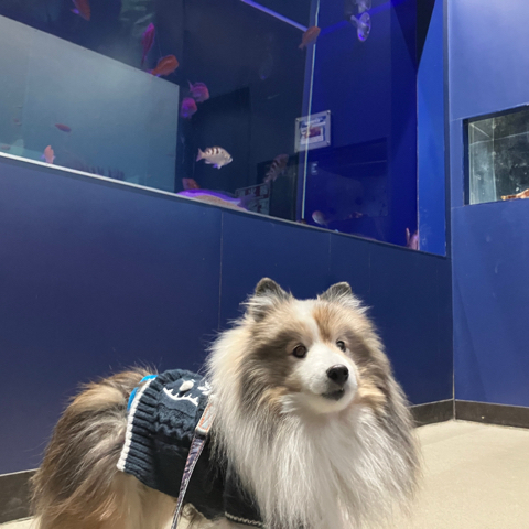 IMG_3398.jpeg