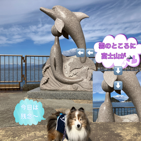 IMG_3412.jpeg