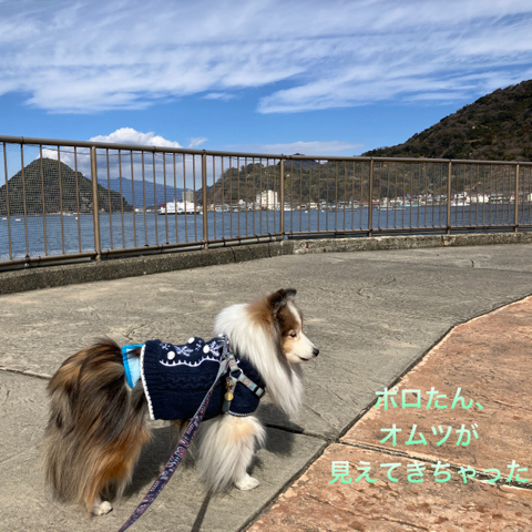 IMG_3414.jpeg