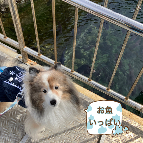 IMG_3422.jpeg