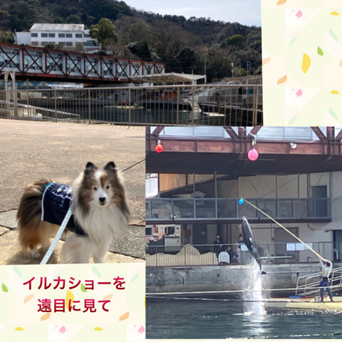 IMG_3427.jpeg