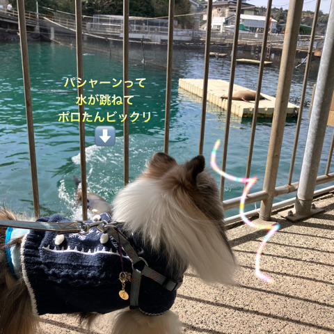 IMG_3428.jpeg