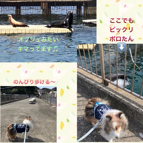 IMG_3430.jpeg