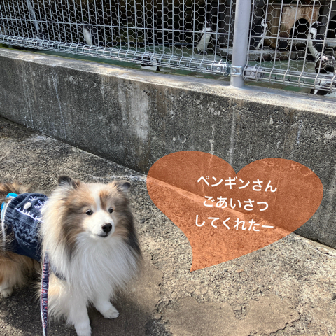 IMG_3431.jpeg