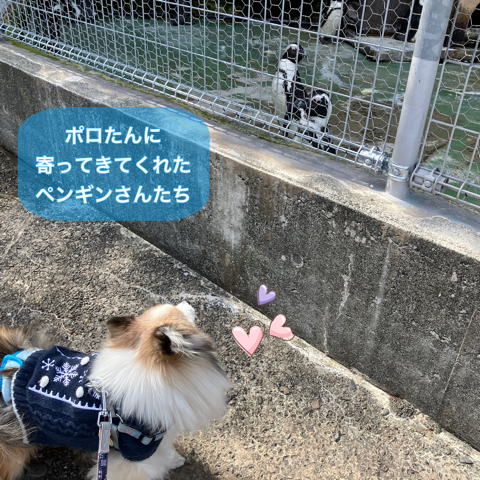 IMG_3432.jpeg