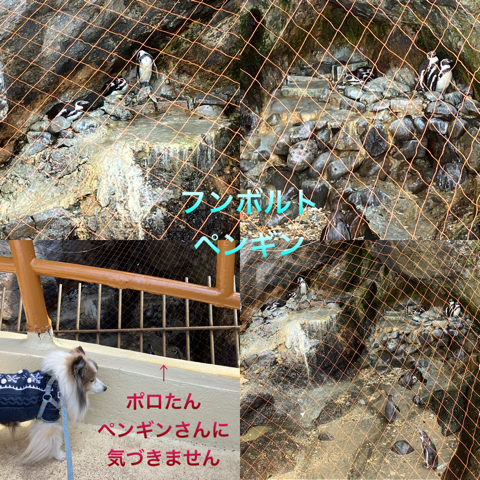 IMG_3436.jpeg