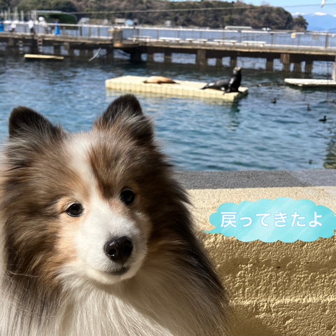 IMG_3437.jpeg