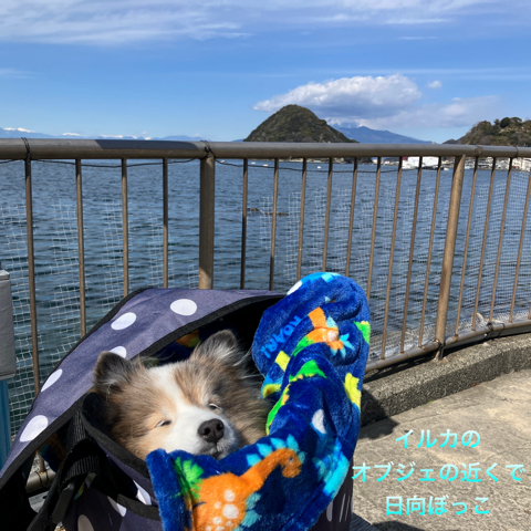 IMG_3439.jpeg