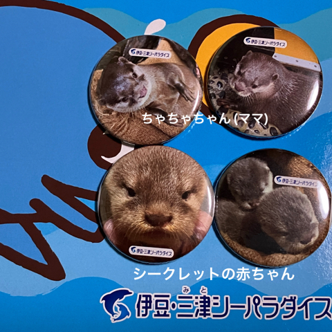 IMG_3441.jpeg
