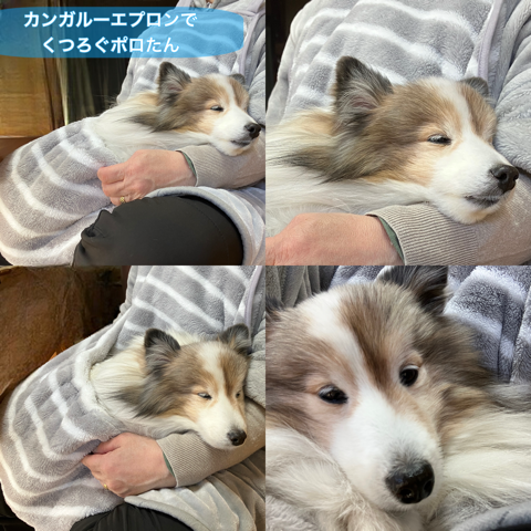 IMG_3491.png
