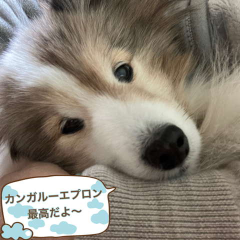 IMG_3492.jpeg