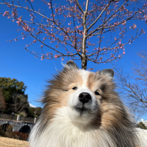 IMG_3499.jpeg