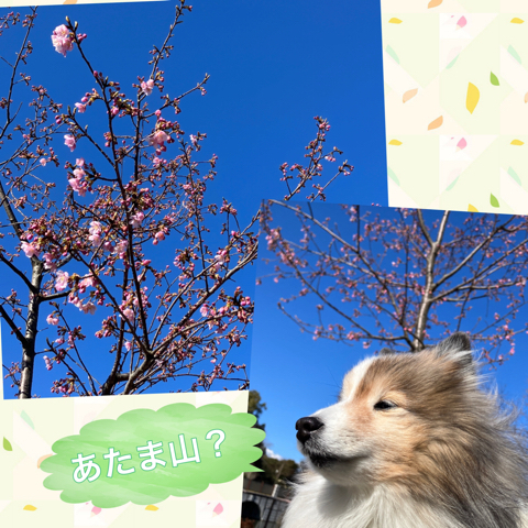 IMG_3501.jpeg