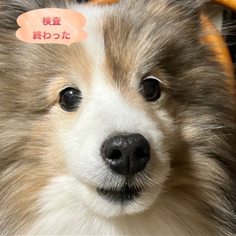 IMG_3603.jpeg