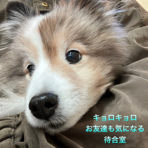 IMG_3605.jpeg
