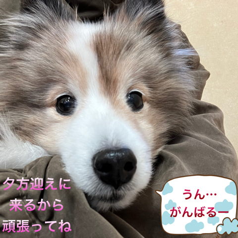 IMG_3609.jpeg
