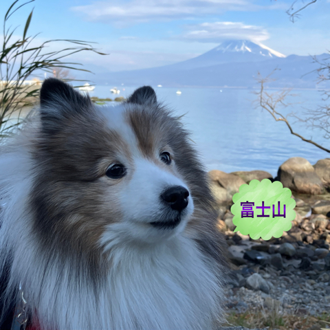 IMG_4048.jpeg