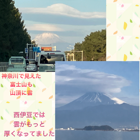 IMG_4049.jpeg