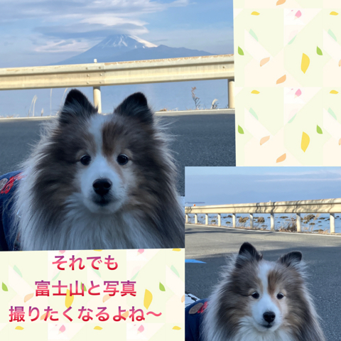 IMG_4050.jpeg
