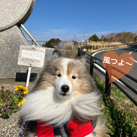 IMG_4056.jpeg