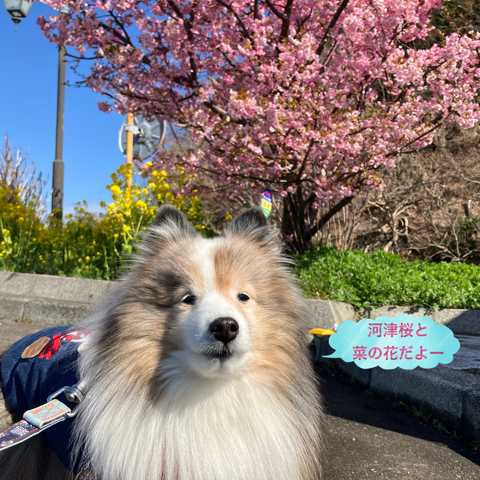 IMG_4061.jpeg