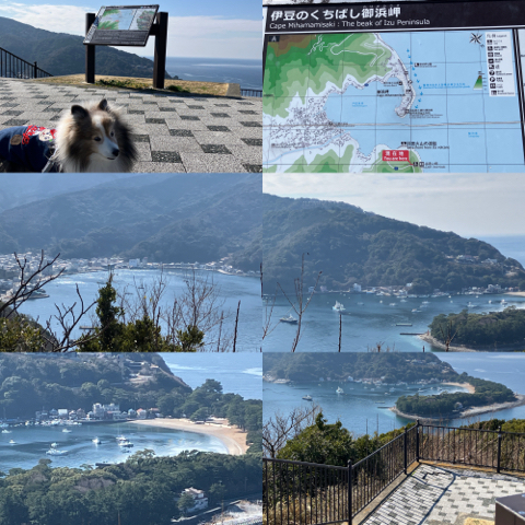 IMG_4063.jpeg