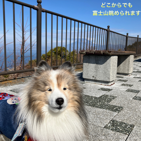 IMG_4068.jpeg