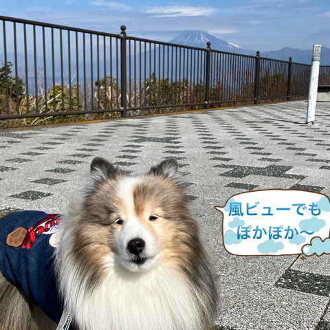 IMG_4070.jpeg