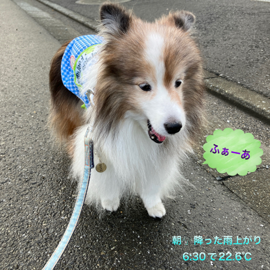IMG_4083.jpeg