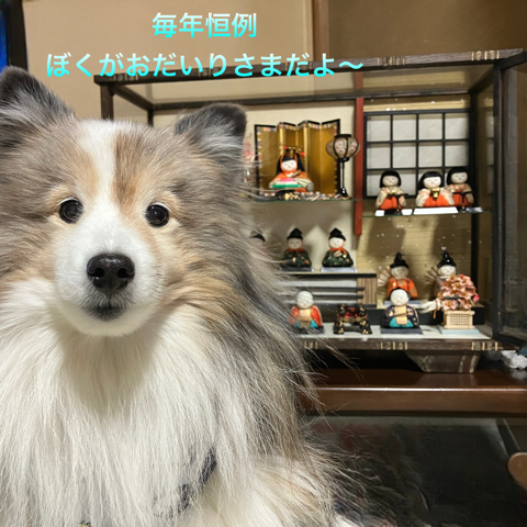 IMG_4153.png