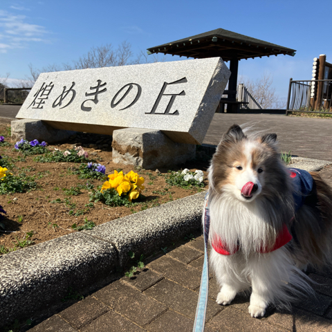 IMG_4174.jpeg