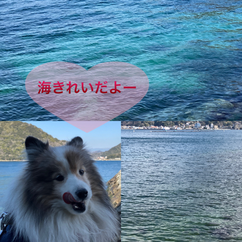 IMG_4197.jpeg