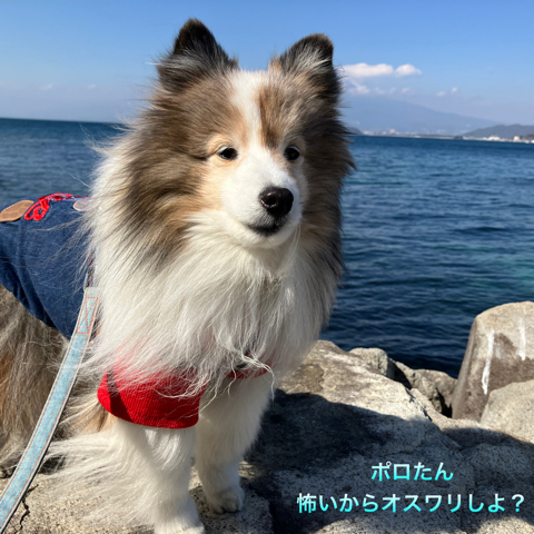 IMG_4199.jpeg