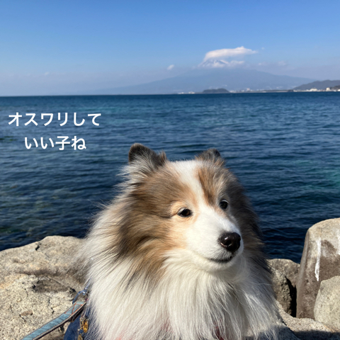 IMG_4201.jpeg