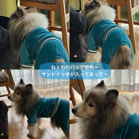 IMG_4421.jpeg