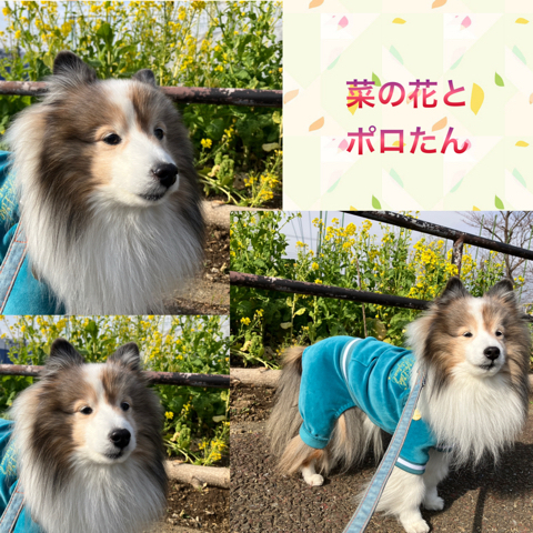 IMG_4527.jpeg
