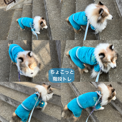 IMG_4529.jpeg