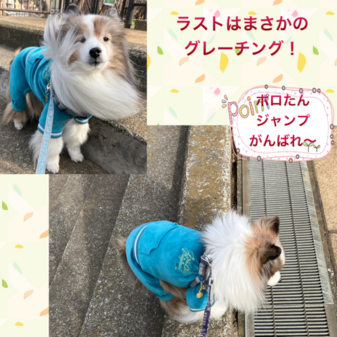 IMG_4530.jpeg