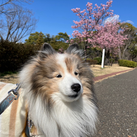 IMG_4565.jpeg