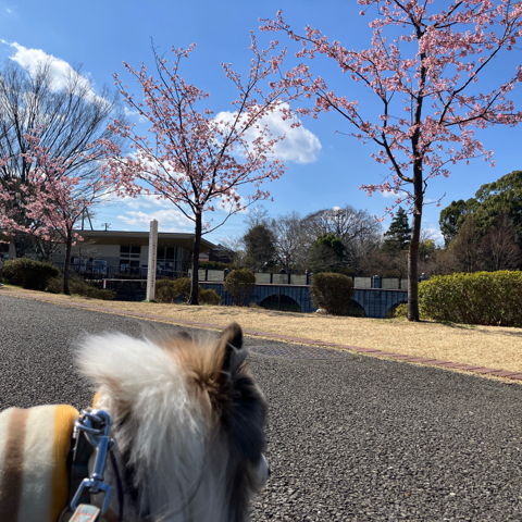 IMG_4566.jpeg