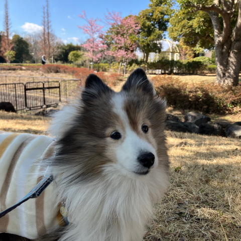 IMG_4567.jpeg