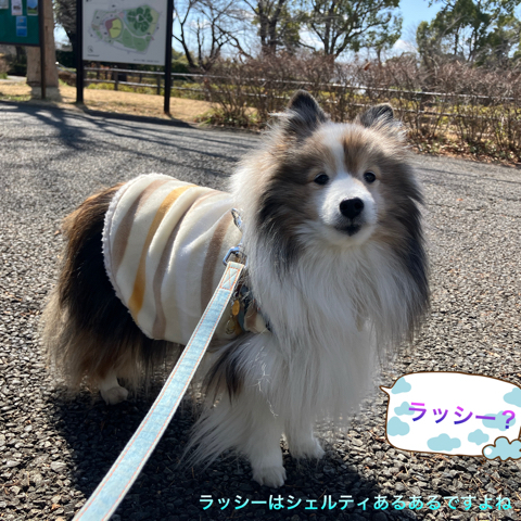 IMG_4570.jpeg
