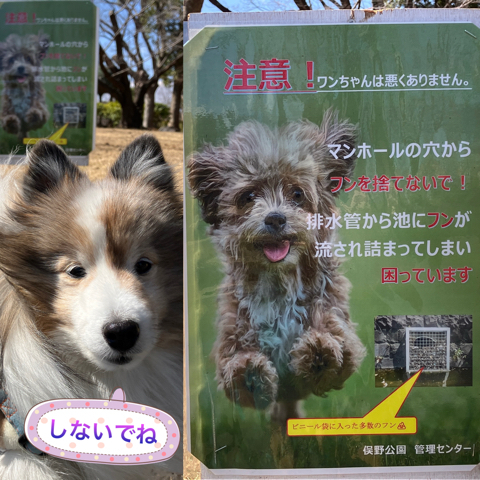IMG_4571.jpeg