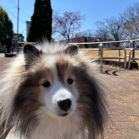 IMG_4602.jpeg