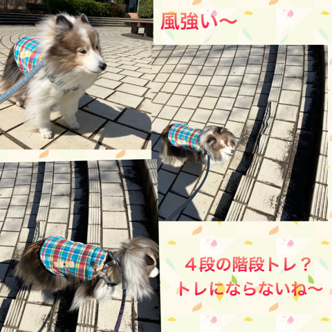 IMG_4606.jpeg