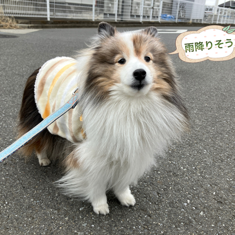 IMG_4635.jpeg