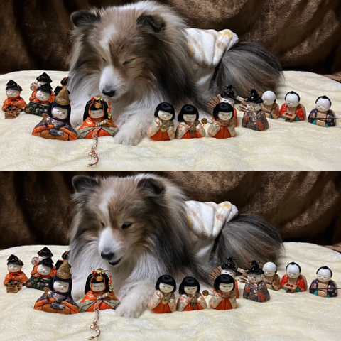 IMG_4721.jpeg