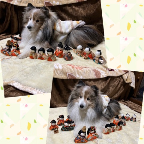 IMG_4722.jpeg