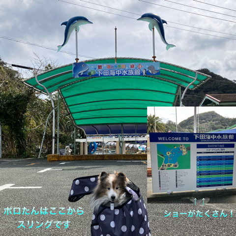IMG_4832.jpeg
